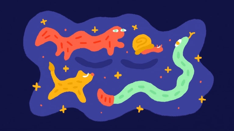 yellow, orange and green animals and insects— a worm, a snail, etc.— are featured in two blue-ish shapes that resemble puddles with yellow stars decorated around them. 