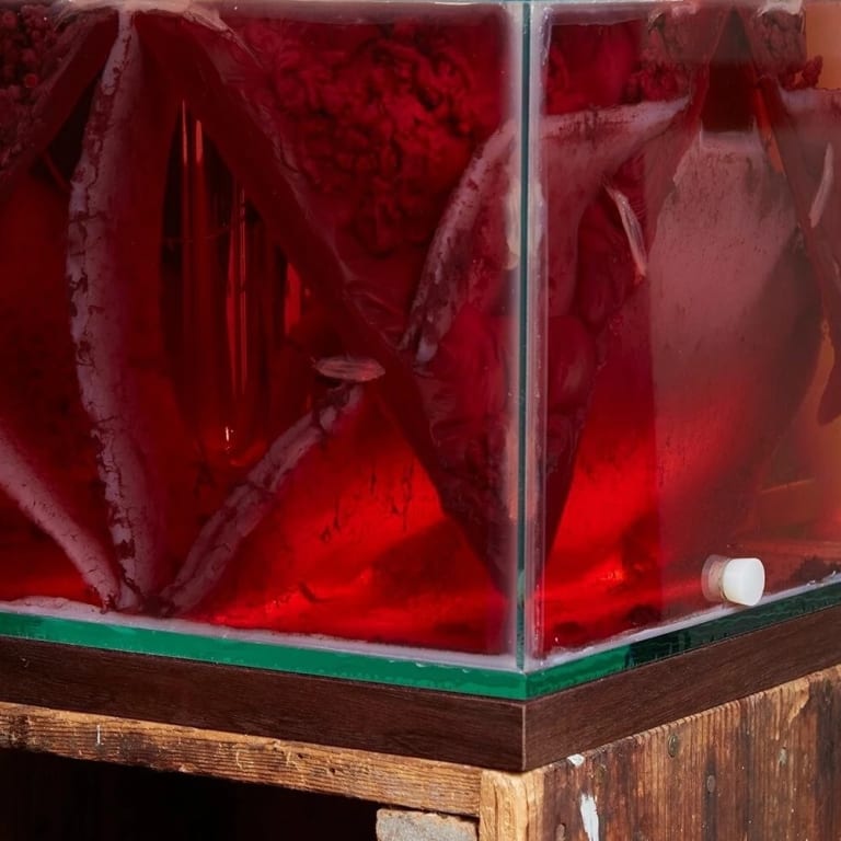Image of a glass tank filled with dark, blood-like, fleshy material, completely submerged in a bright red liquid.