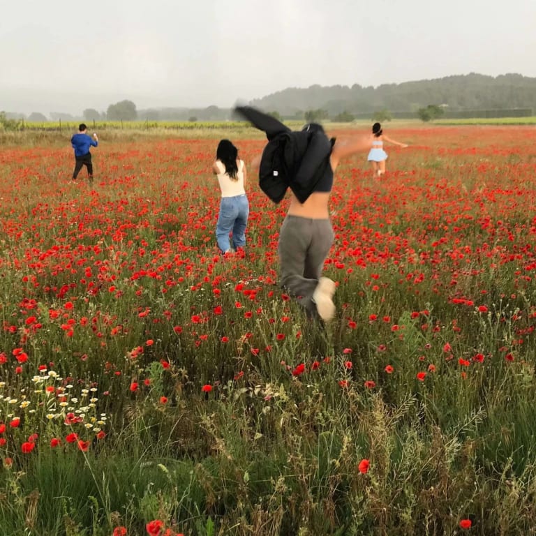 A picture of a wide field of red flowers, with four people running around in it with their backs turned to the camera.