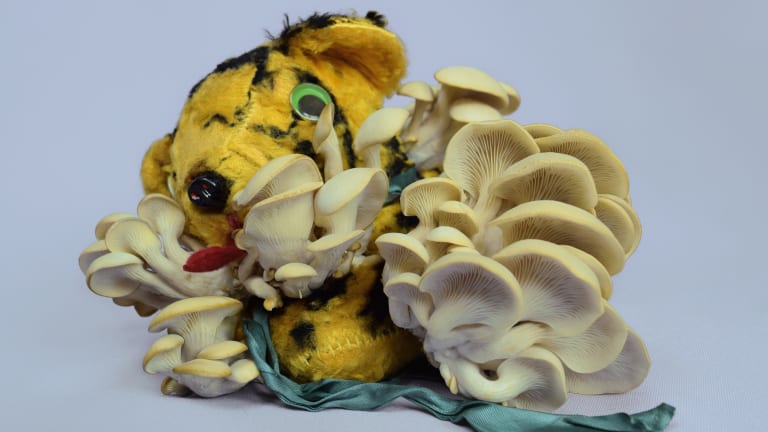 A stuffed tiger overtaken by mushrooms sprouting from its body.