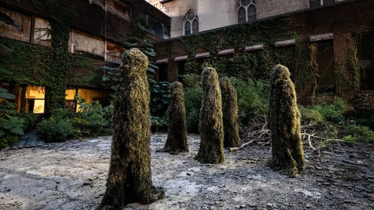 Five plant-like creatures standing in an overgrown abandoned NYC lot