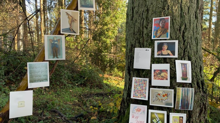 Here is a photo of photos pinned along the trunk of a tree, outdoors in a wooded area. 