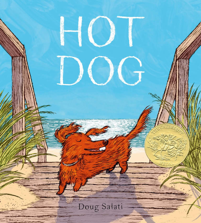 An illustration of a little orange dog with a white ball in it's mouth walking off of the beach with the title "hot dog" over it