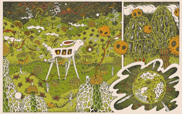 Illustration of a rabbit walking through a green field of various flowers and mushrooms. There is an image of a planet in the lower right corner, and mushroom-like structures in the upper right corner.