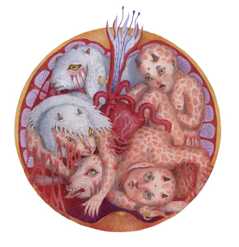 A colored pencil drawing of lamb creatures shedding their fur and emerging a pink child-like figure within a circle 