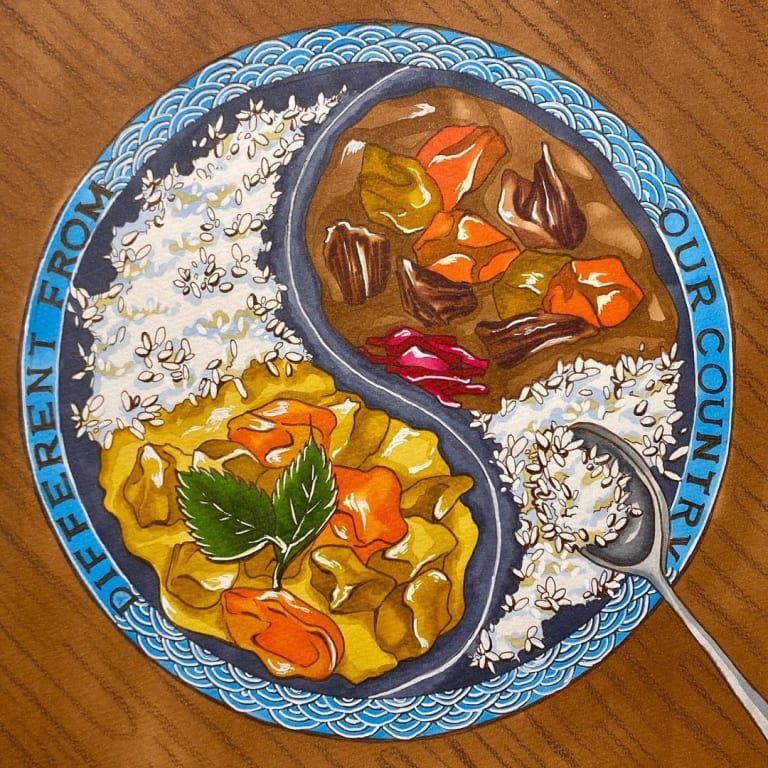Illustration of a bowl of rice and stew. The bowl says "Different from our country"