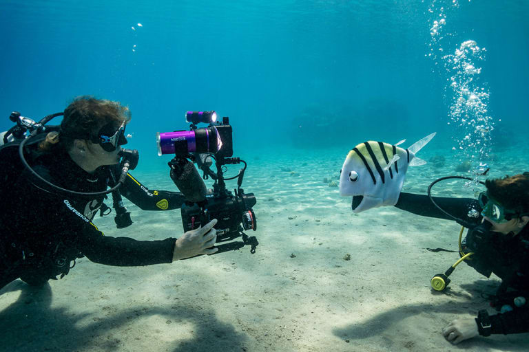 <p "="">An underwater photograph of two divers, one of them operating a puppet of a fish and the other filming the scene.

