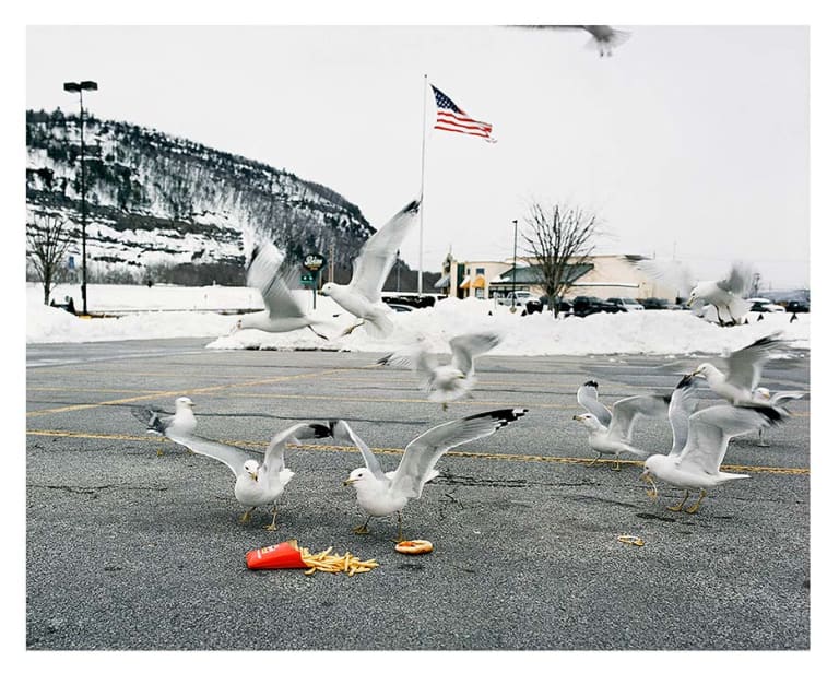            Photograph of seagulls eating french fries off of pavement in front of fast food restaurant, all taking place against a snowy backdrop.

