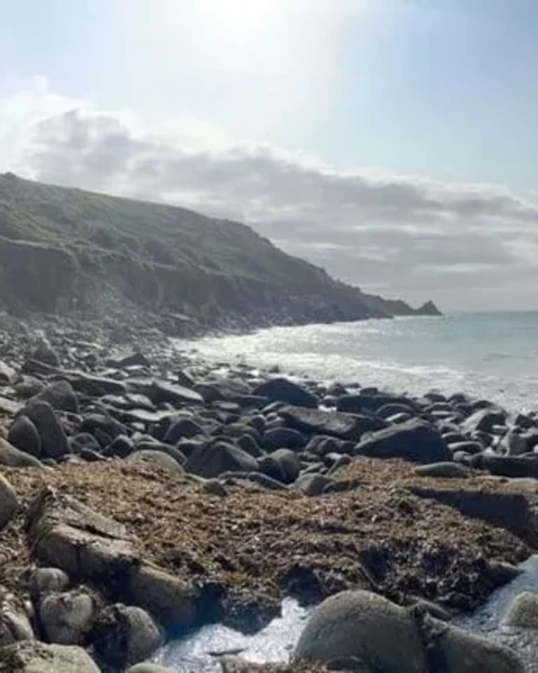 rocky beach 