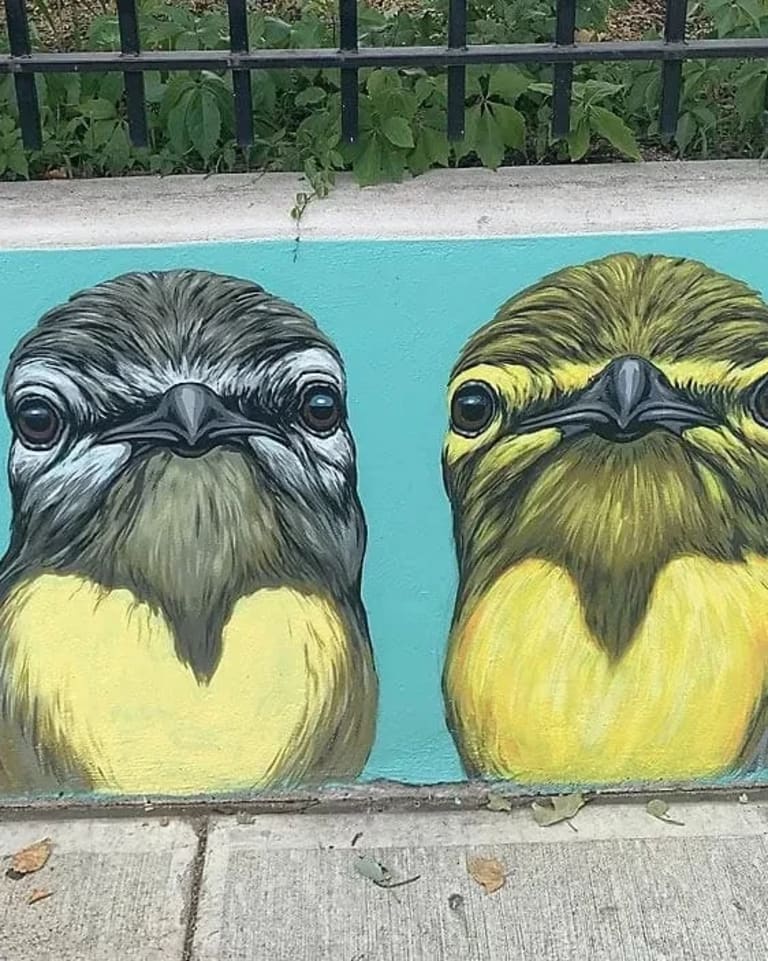 two small yellow birds drawn on a aqua-colored mural, green grass in the top of the image and concrete sidewalk below.