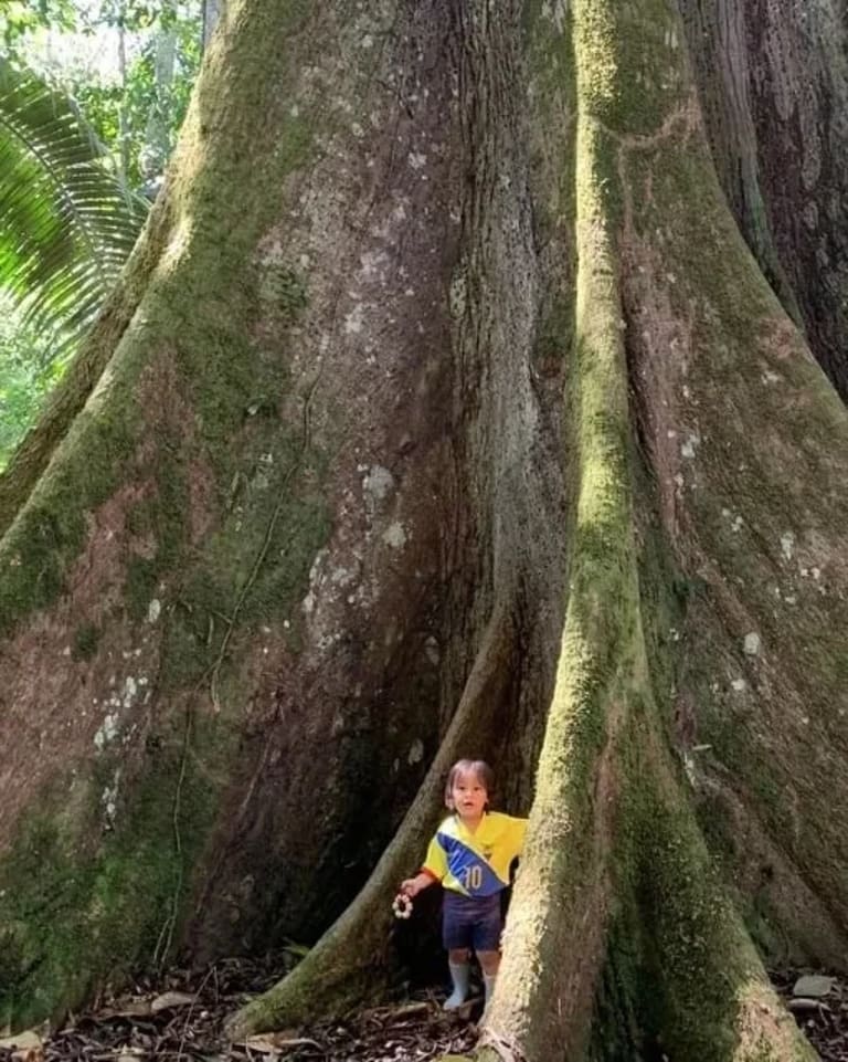 child in front of tree 