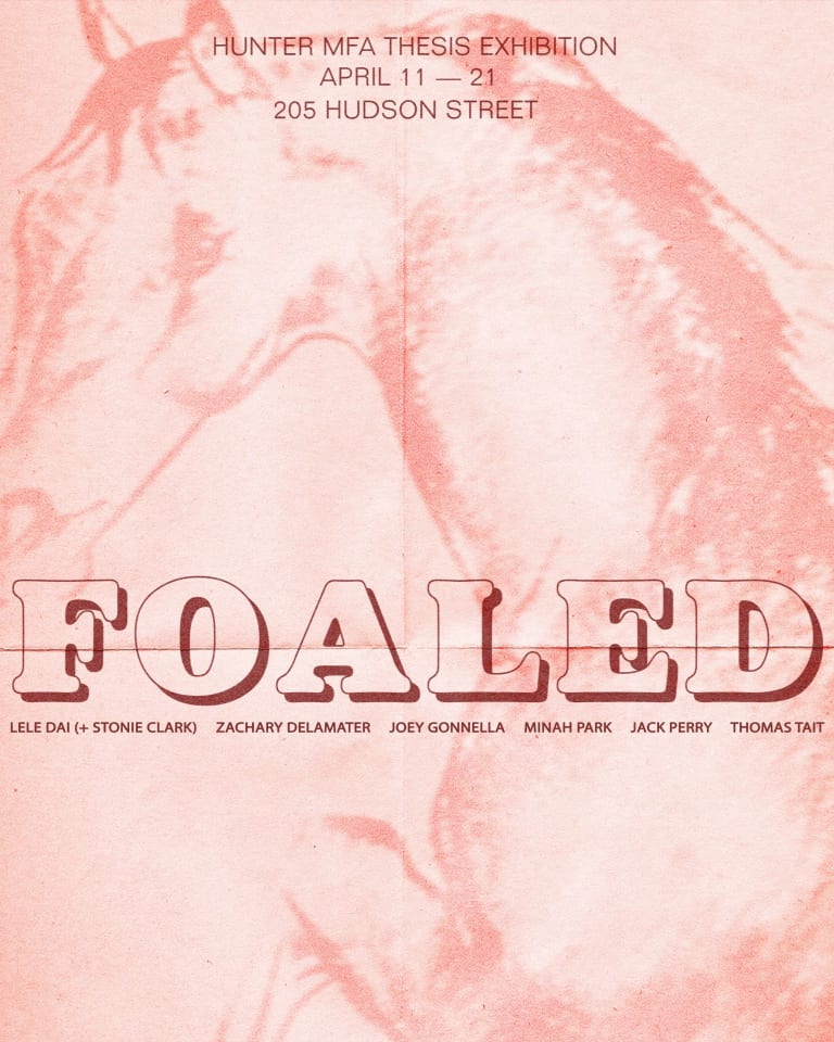 Invitation with information for the Hunter College MFA thesis exhibition “Foaled” presented over a pink background with a faint drawing of a horse’s head and front legs in the frame