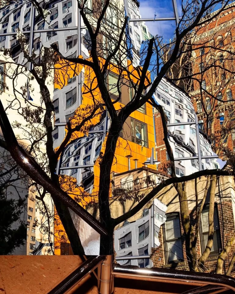 A picture of buildings behind a tree where each section between branches shows a different setting.