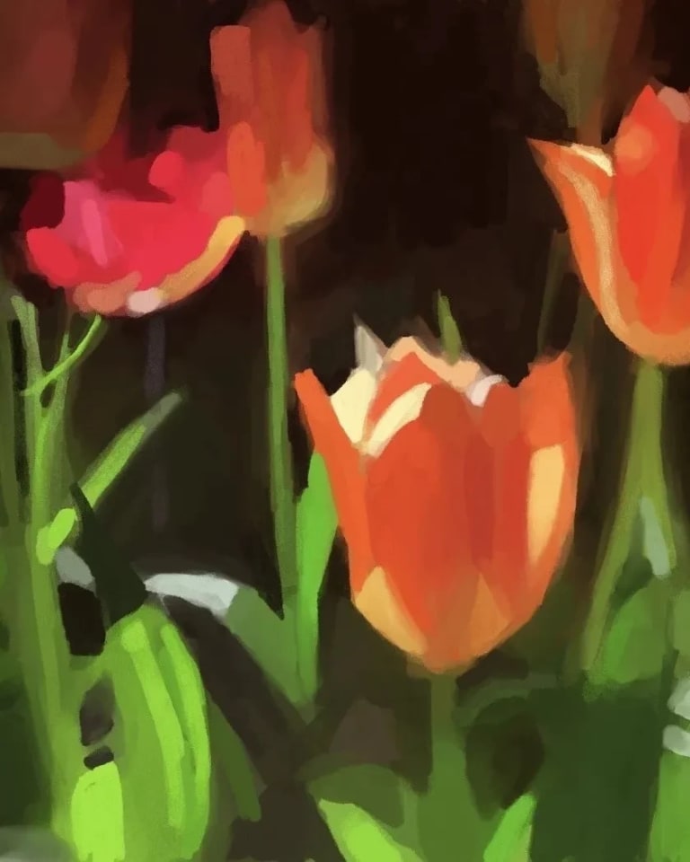 Inkjet print of a painterly digital drawing of red tulips on a black background. 