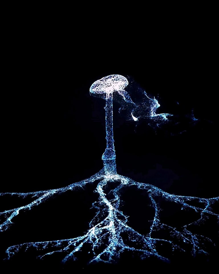 A luminous mushroom in a dark background with an expanding mycelium network below it. 
