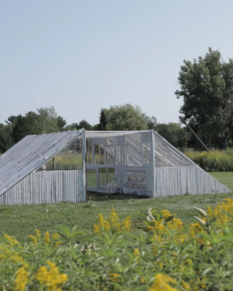 a structure made of gray slats in the shape of a trapezoid erected in a green field clearing