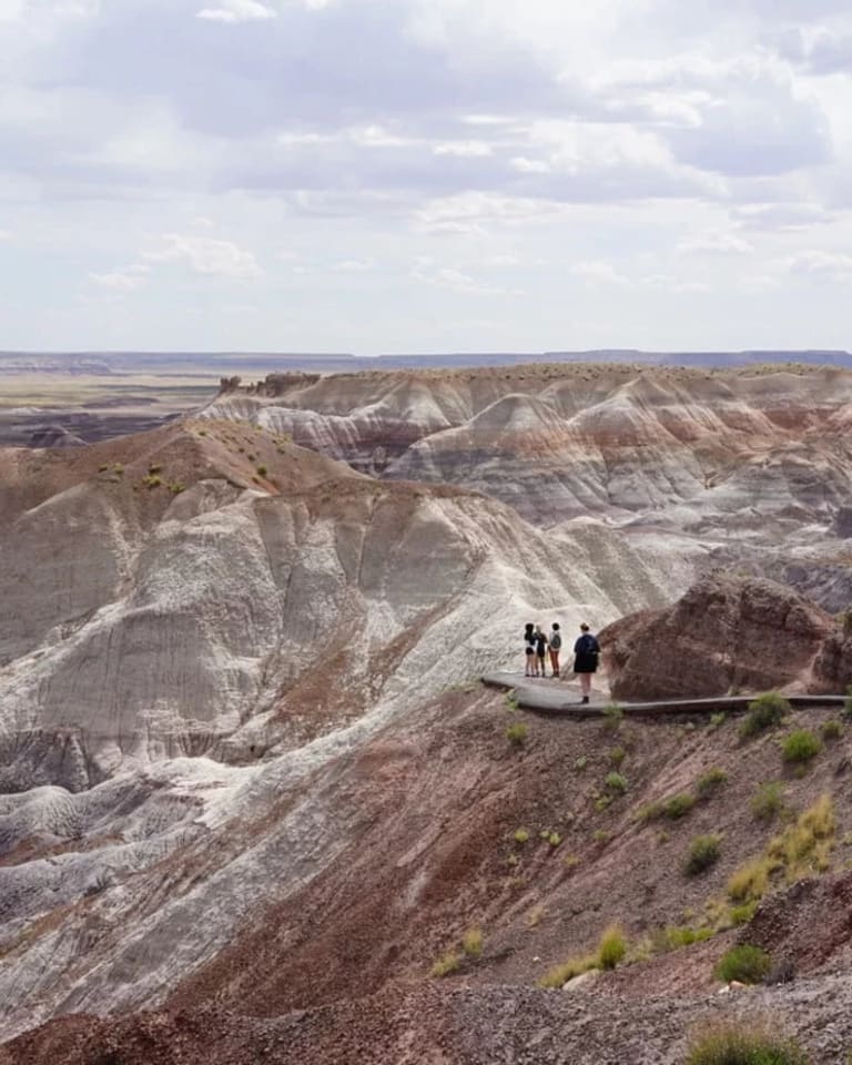 Image of Painted Desert Petrified Forest National Park