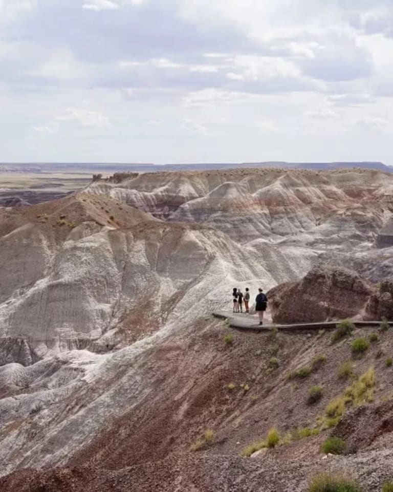 Image of Painted Desert Petrified Forest National Park