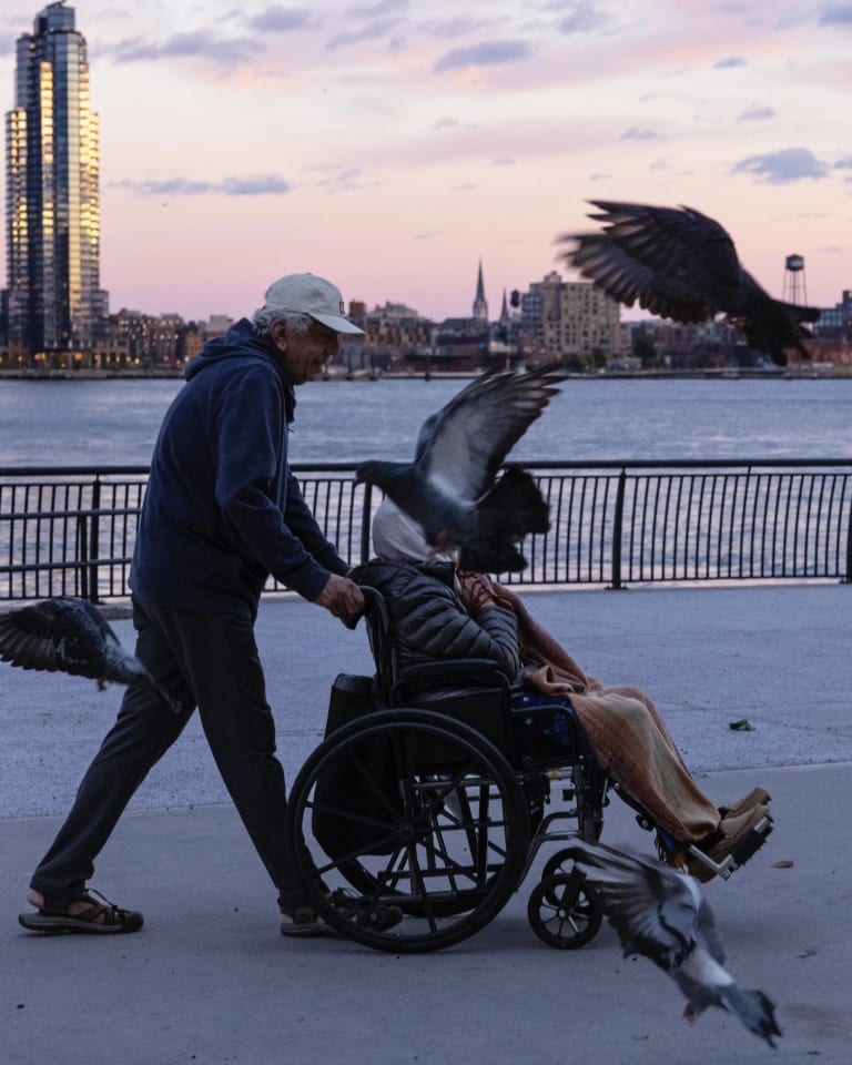 A phptograph of a pigeon flying in front of a person being pushed in a wheelchair on a boardwalk in NYC.