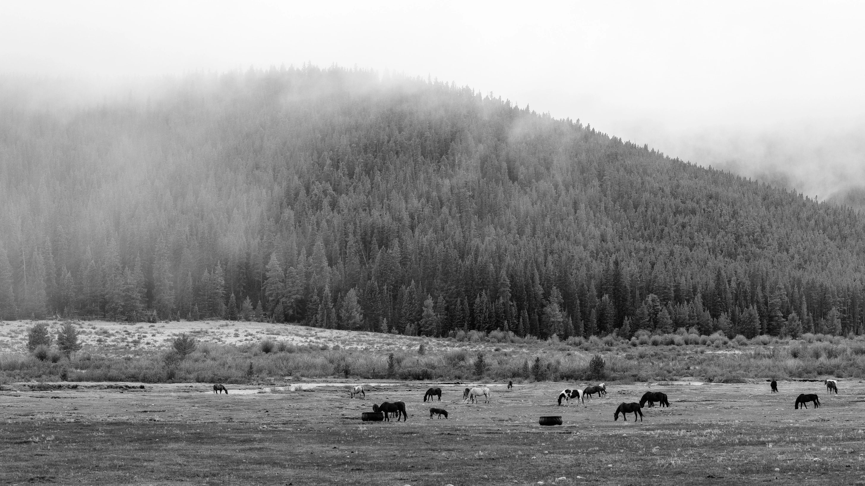 What do you think of my first digital drawing and how can I improve it?, image size:2913x1638