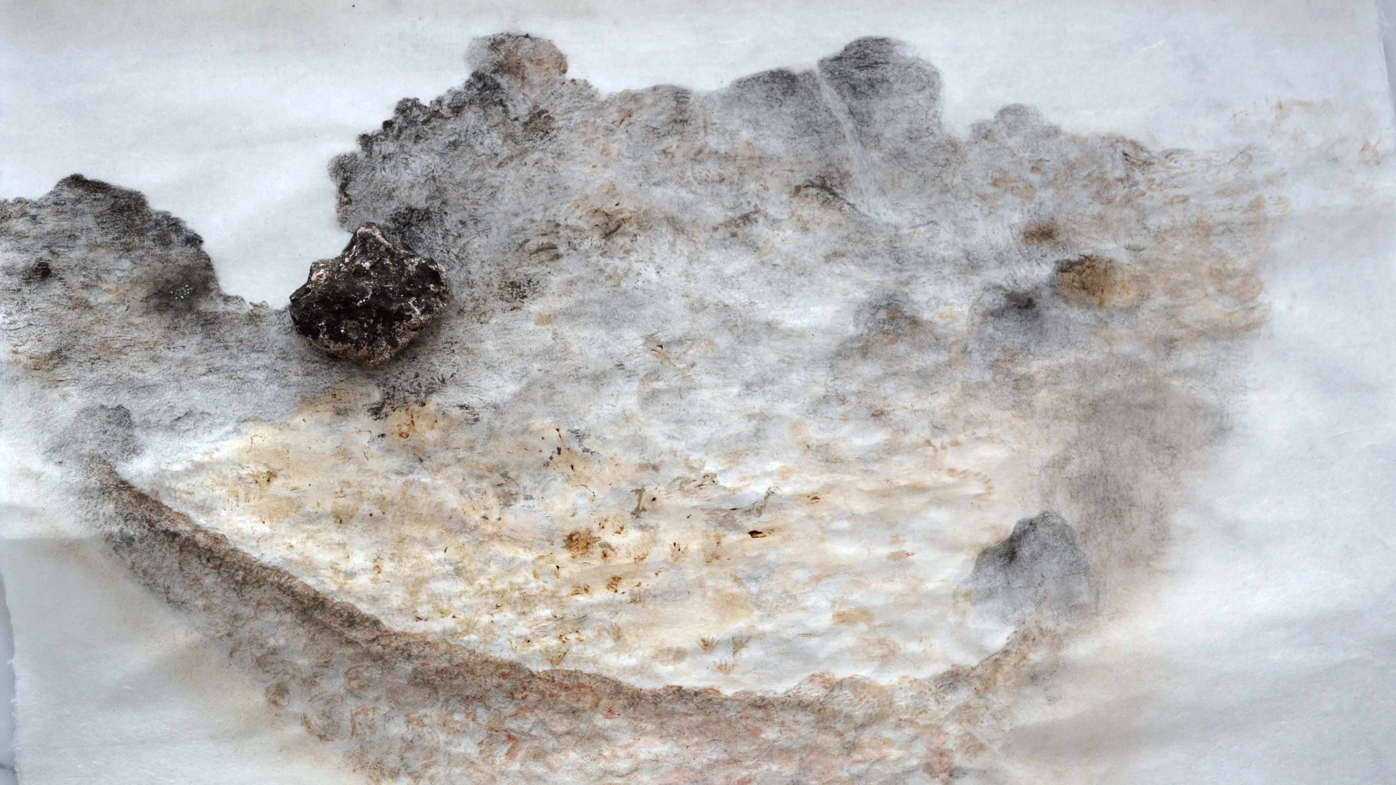 Macro shot of a fuzz type material with black soot on it over a white background.