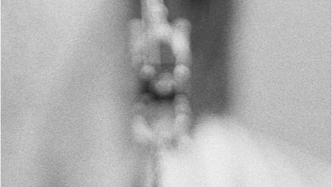 Photograph of a blurry earring.