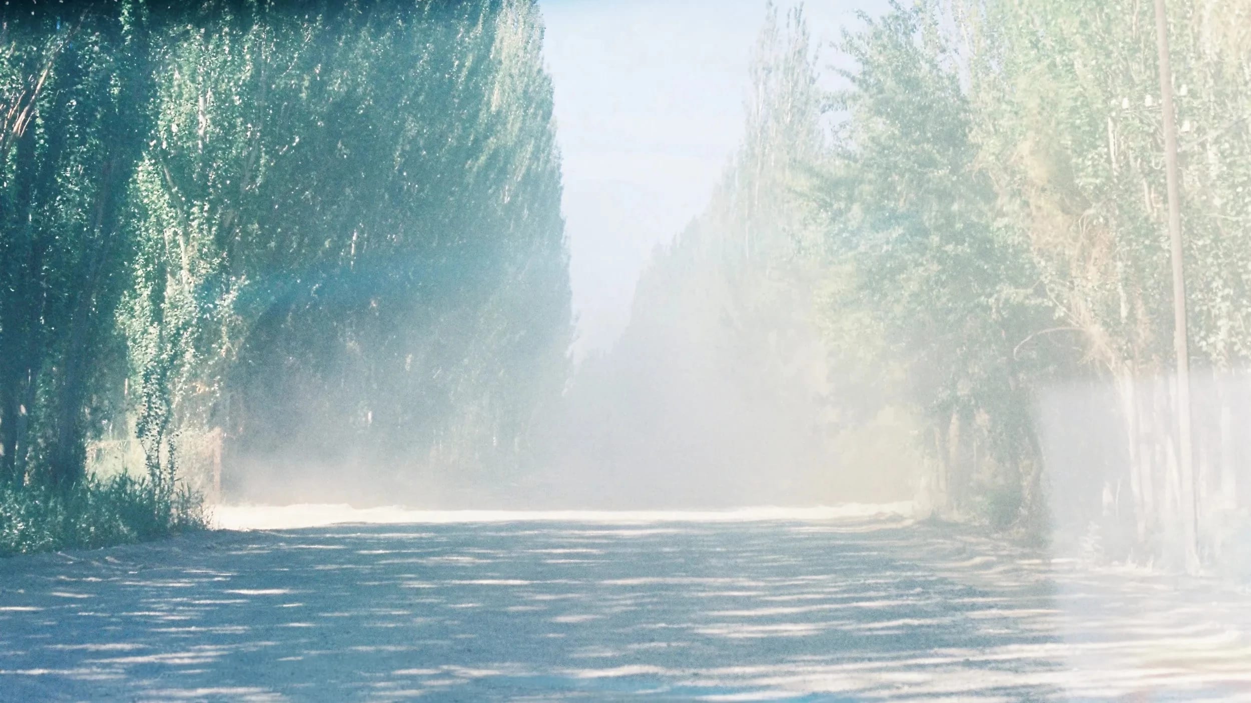 The window view of the boulevard, sand blown by the wind like fog