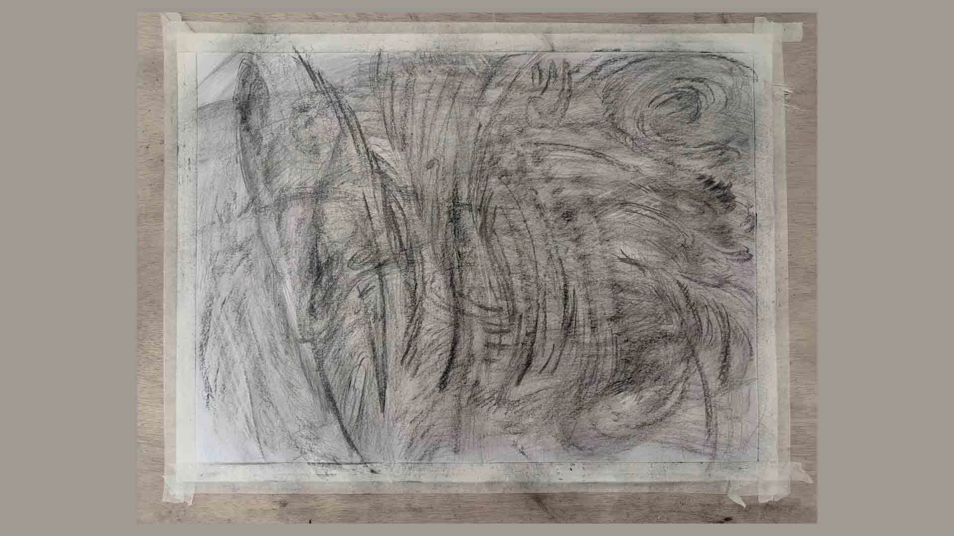 Yue Yuan, Her face, 2025, Pencil and charcoal on paper, 18 x 24 inches