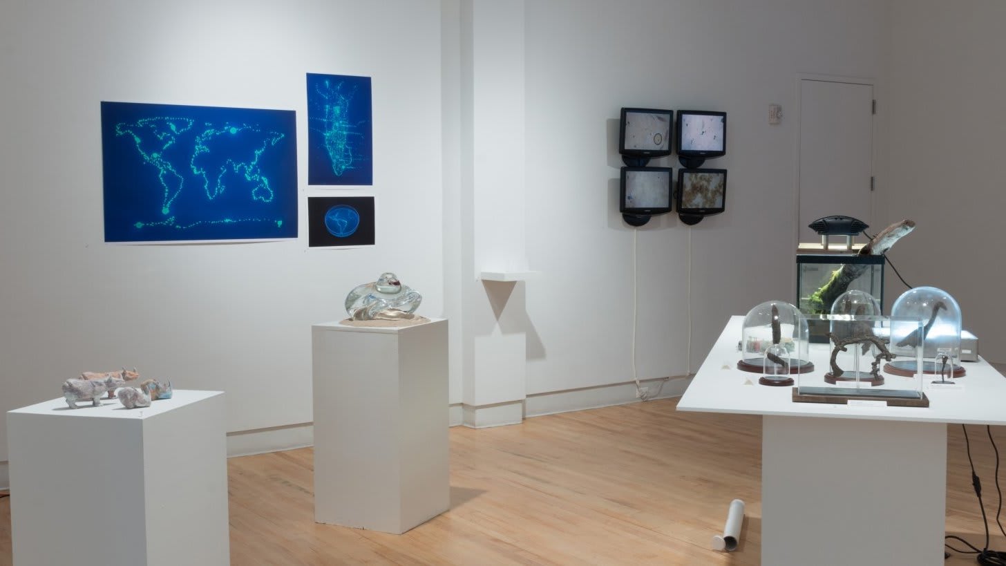 A room with two stands with small objects on them, and a table with several small objects under glass domes.  On the wall are three posters of maps of earth, and a set of four monitors.