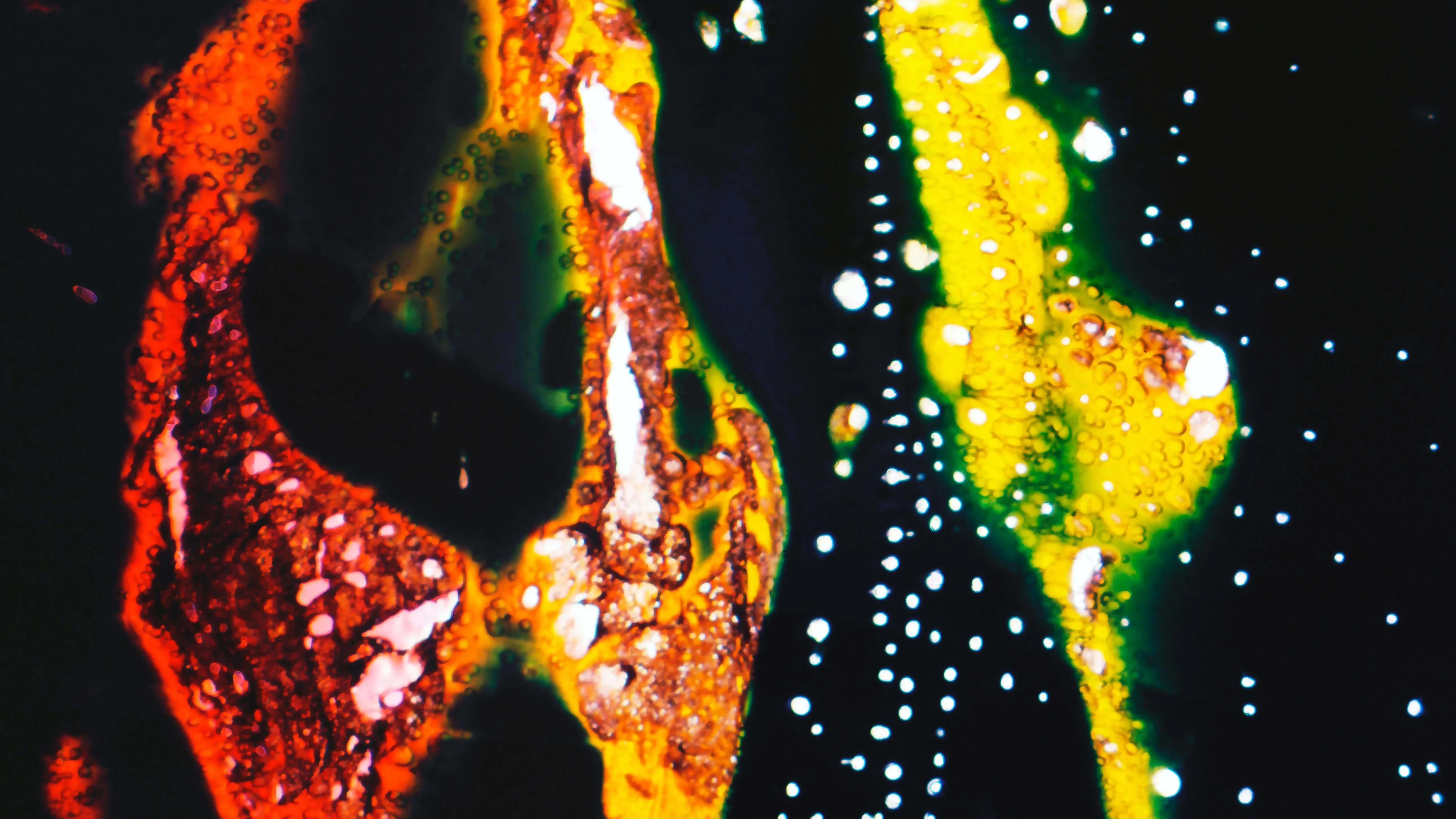 Experimental photography process print