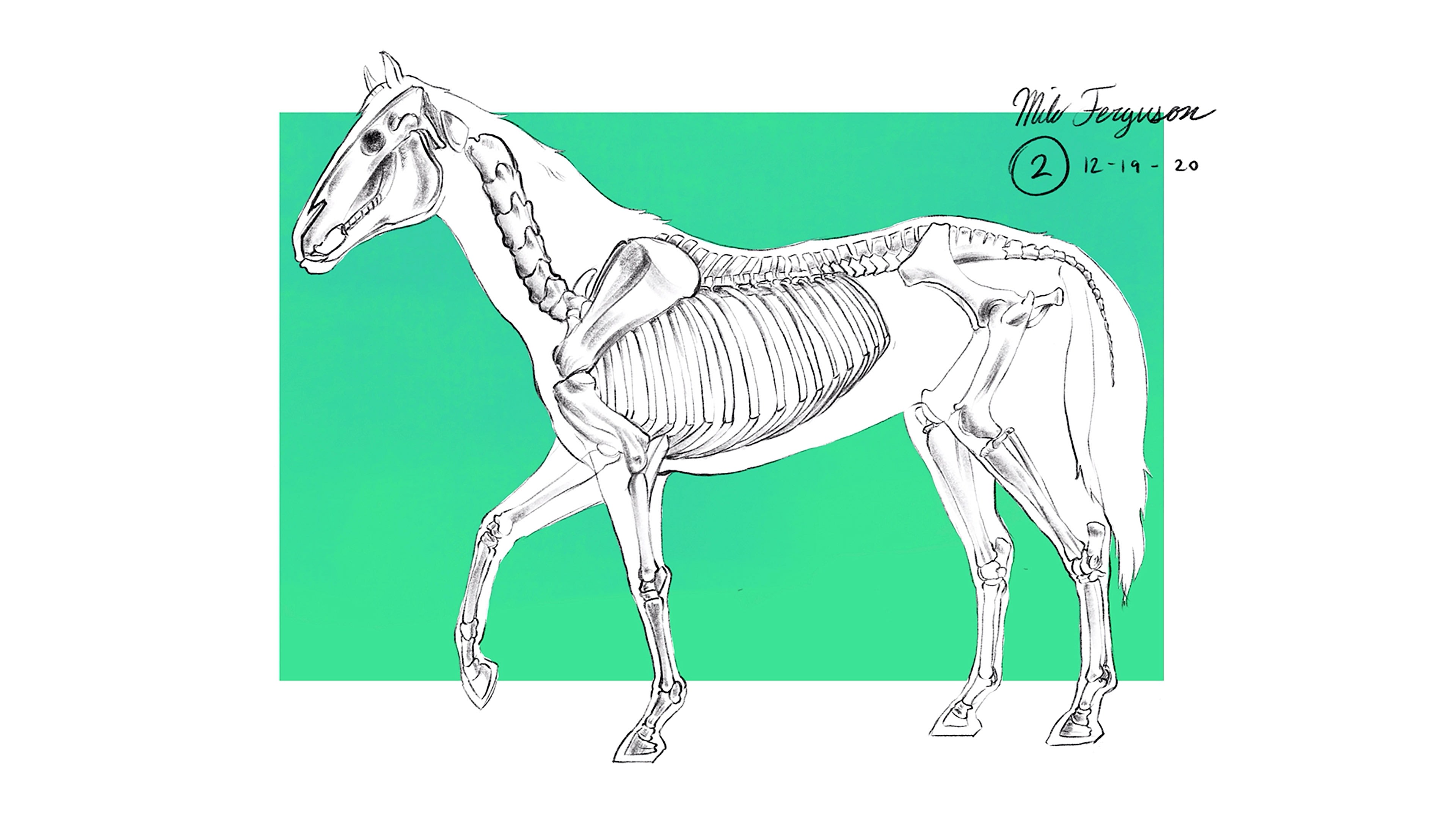 Black and white skeleton of a horse inside a typical horse shape, placed against a sea green rectangle against a white background.