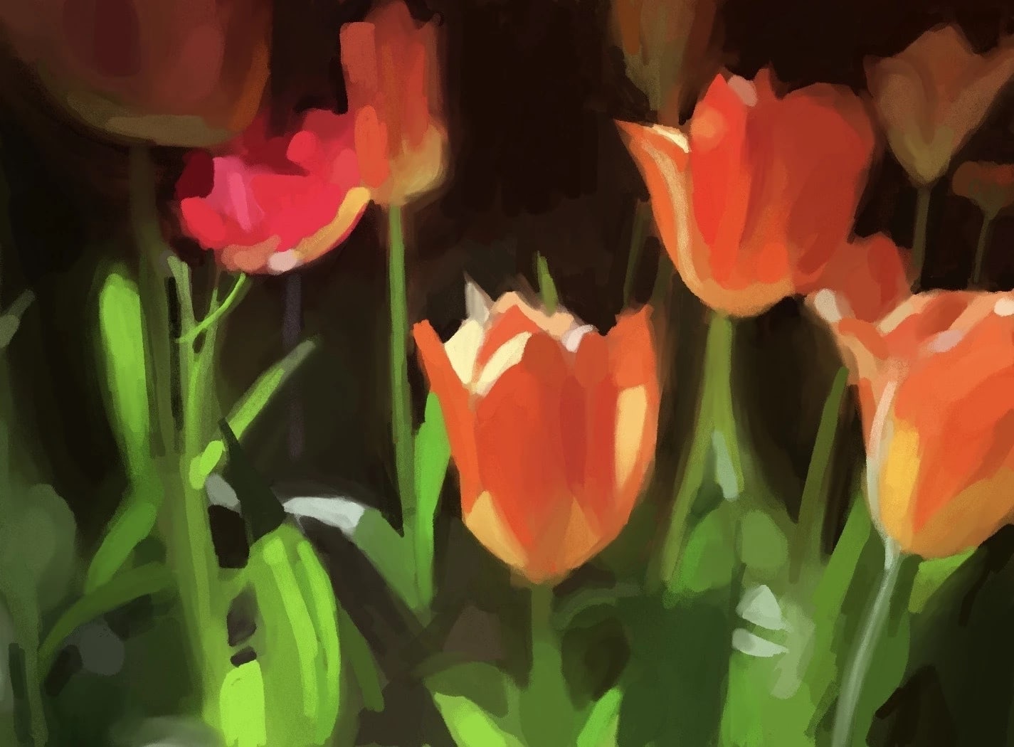 Inkjet print of a painterly digital drawing of red tulips on a black background. 