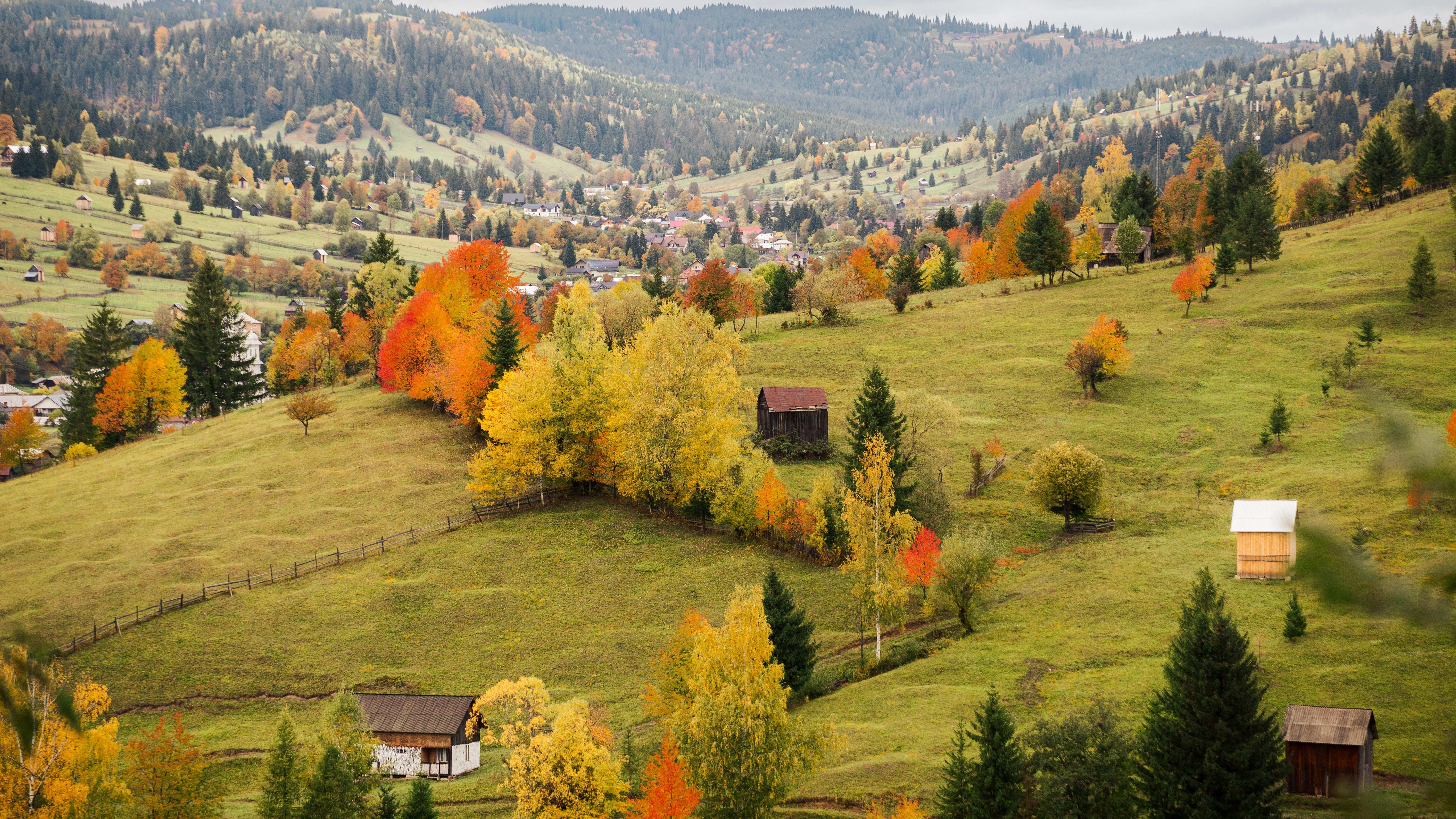 Pasture with herd of horses. Mountains with trees in the background with the fog setting in.