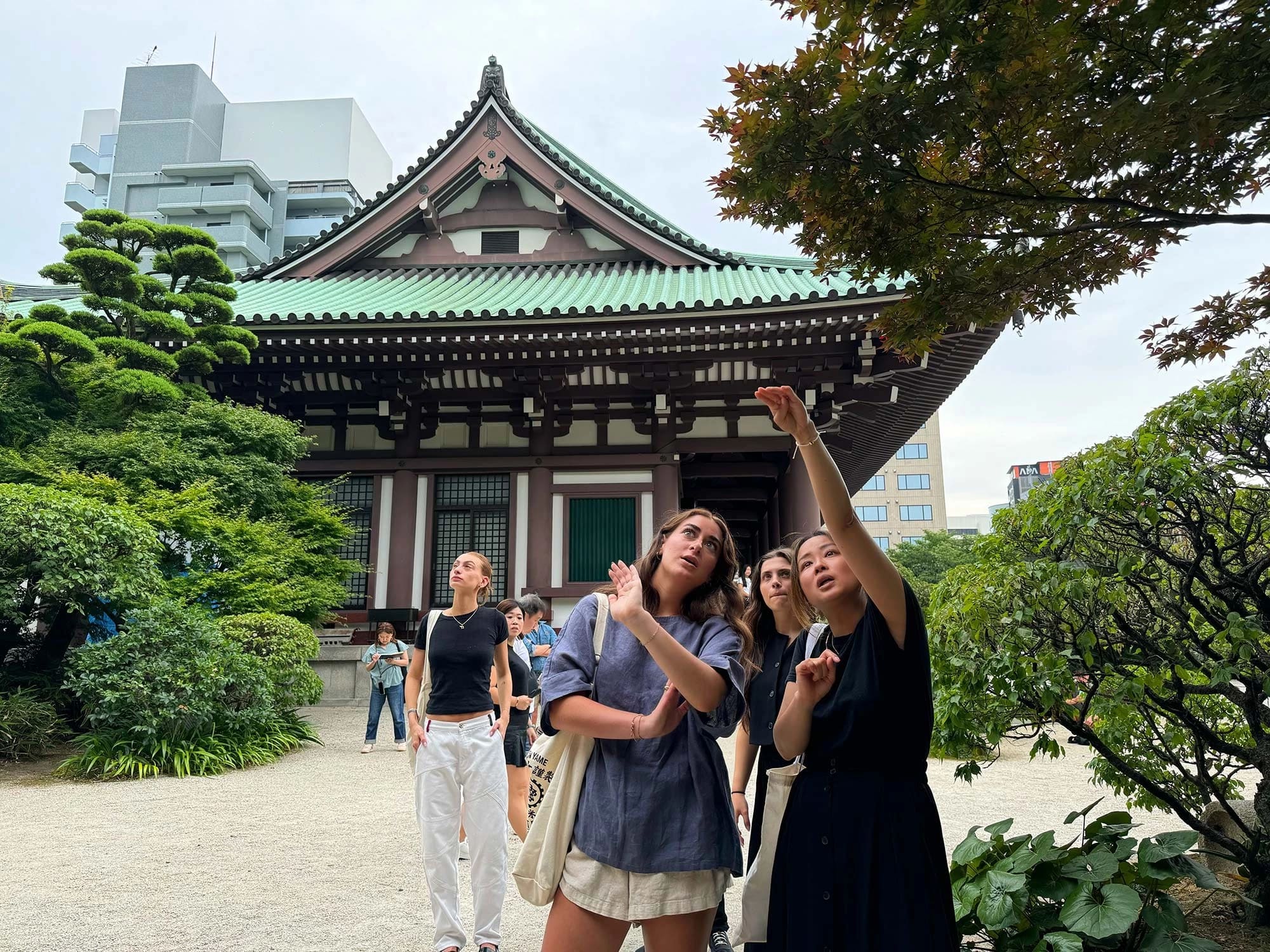 Students pointing up and looking in the sky with a traditional Japanese minka houses in the background among verdant trees and bushes.