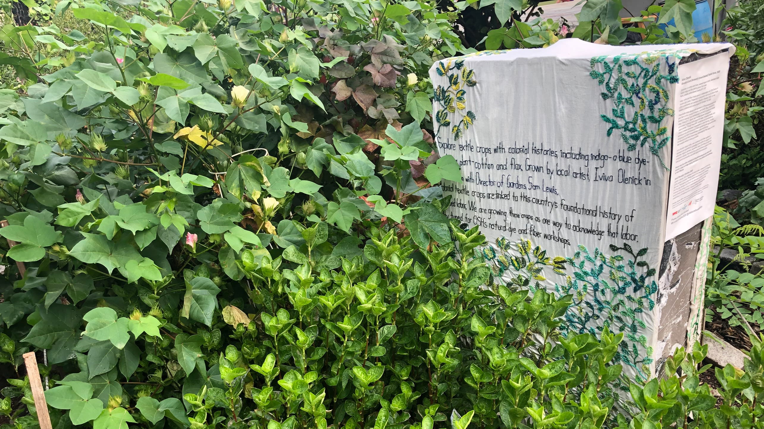 Garden with fabric covered wood box