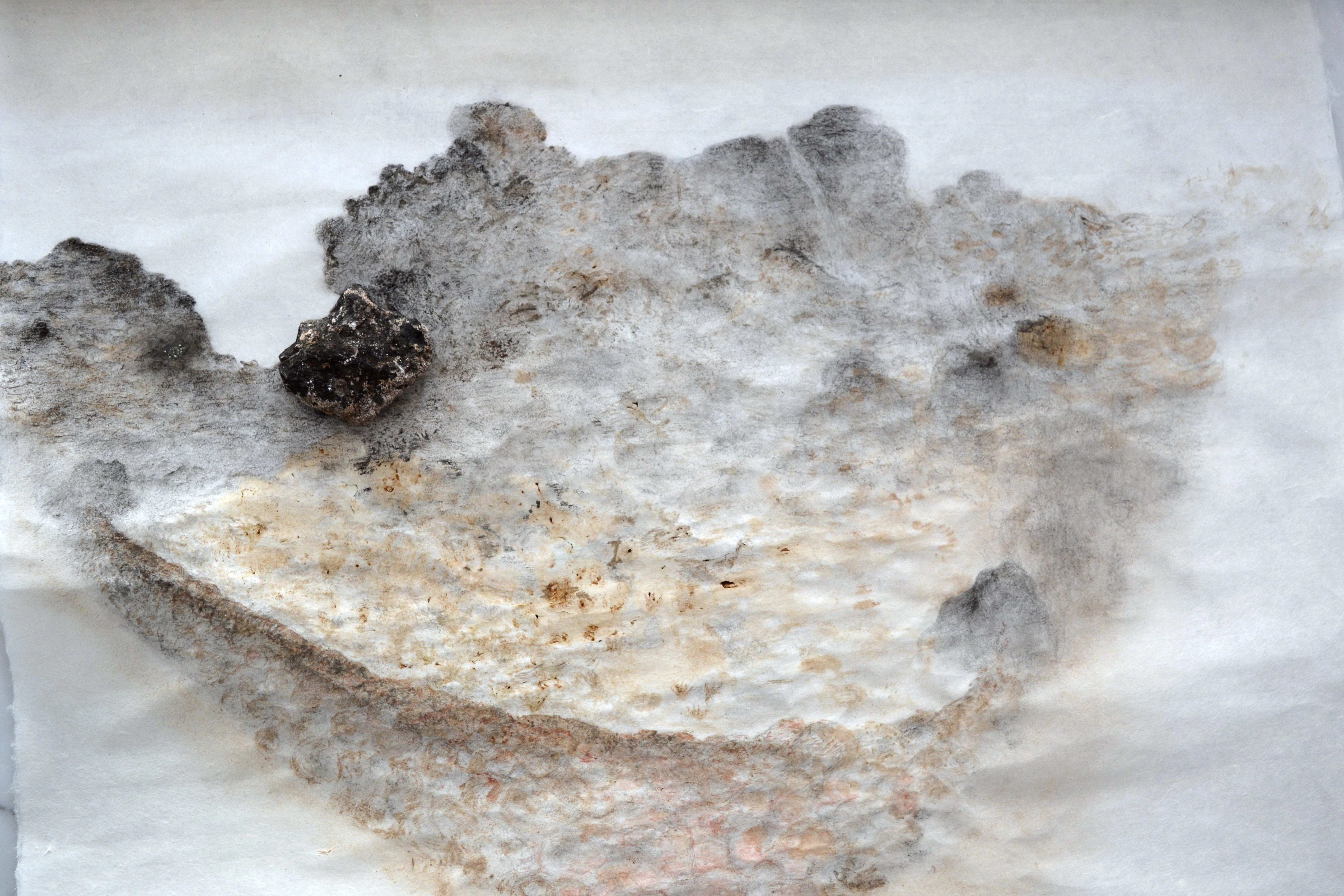 Macro shot of a fuzz type material with black soot on it over a white background.