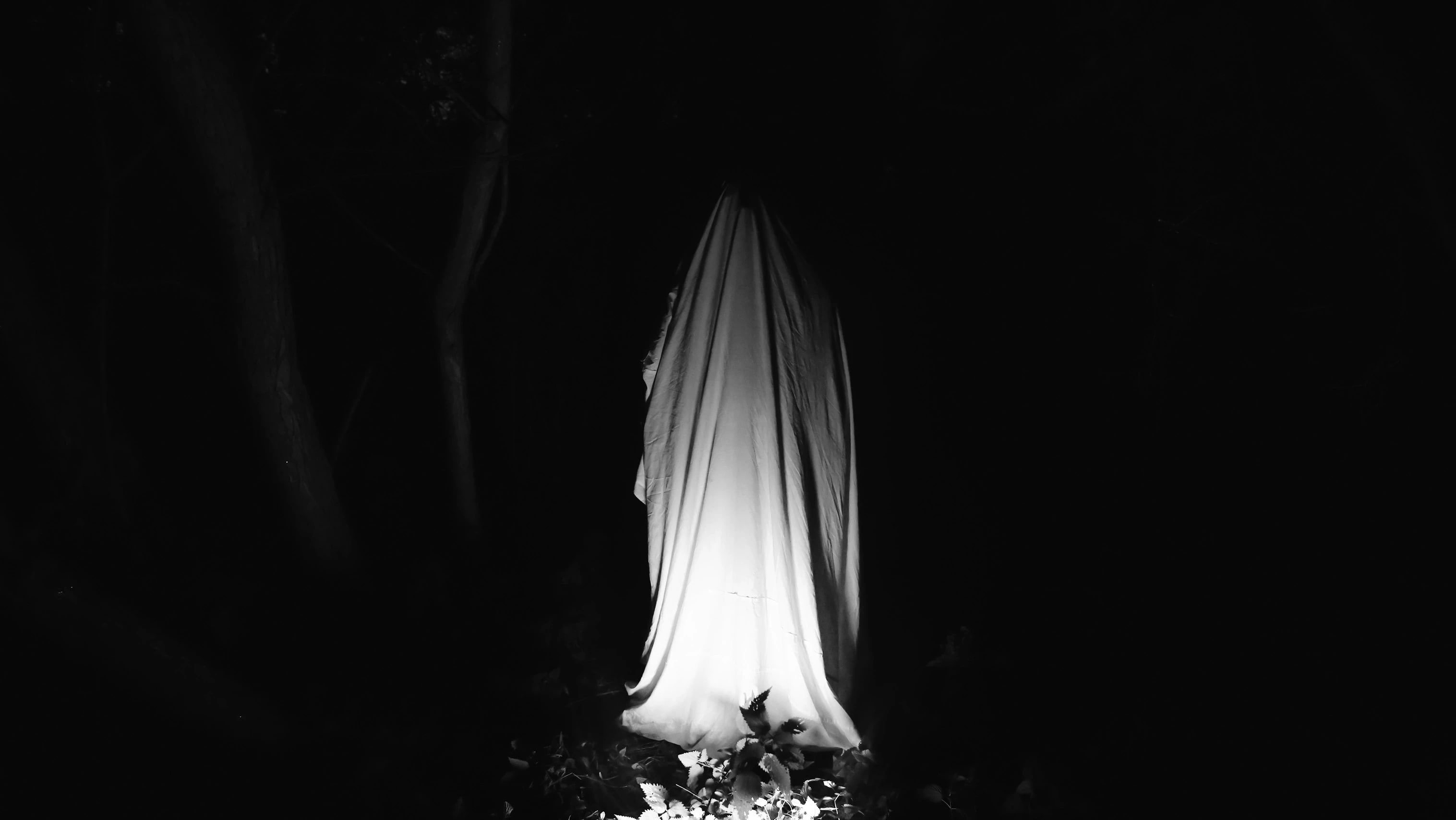 Ghost in dark forest