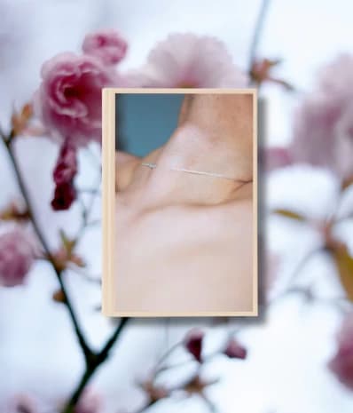 a bookcover featuring an image of a person's neck with a necklace on overlaid on an image of cherry blossoms 