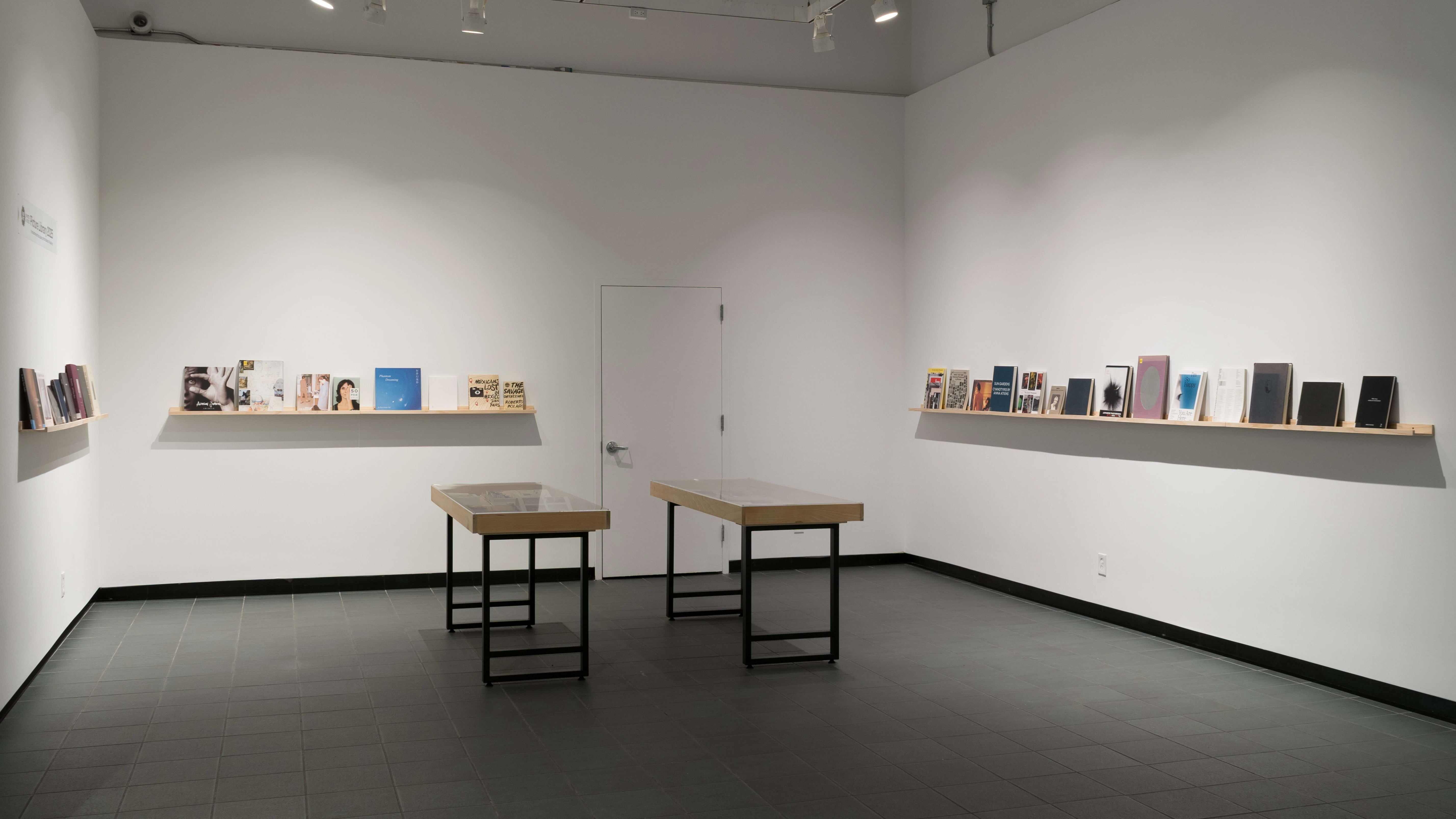 The three visible walls of the gallery are lined with long wooden shelves. The shelves are full of front-facing books of all kinds. Two small vitrines stand in the center of the space.