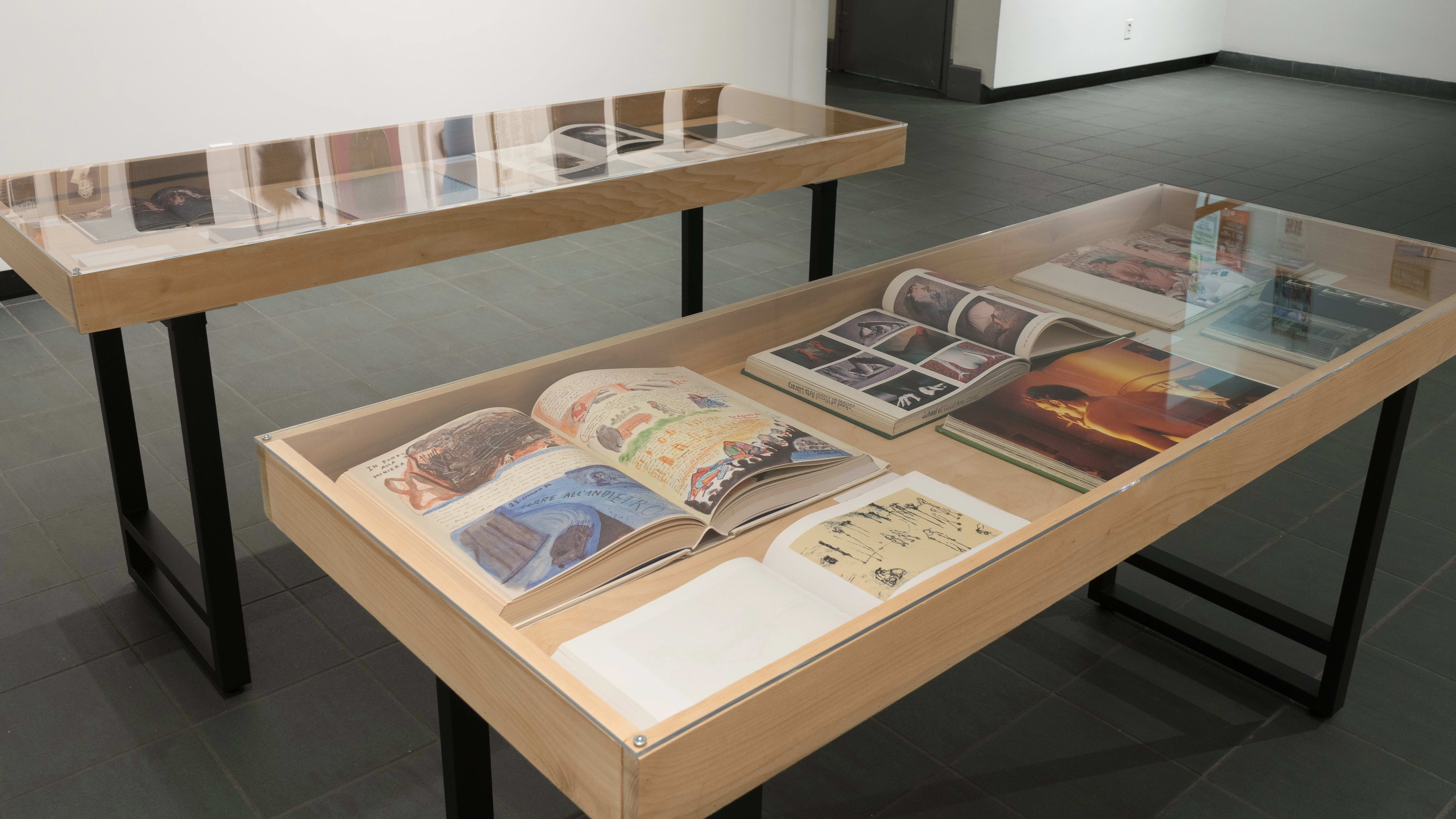 Looking down at the two vitrines, several books are open inside them. The books show photos, illustrations, and paintings.