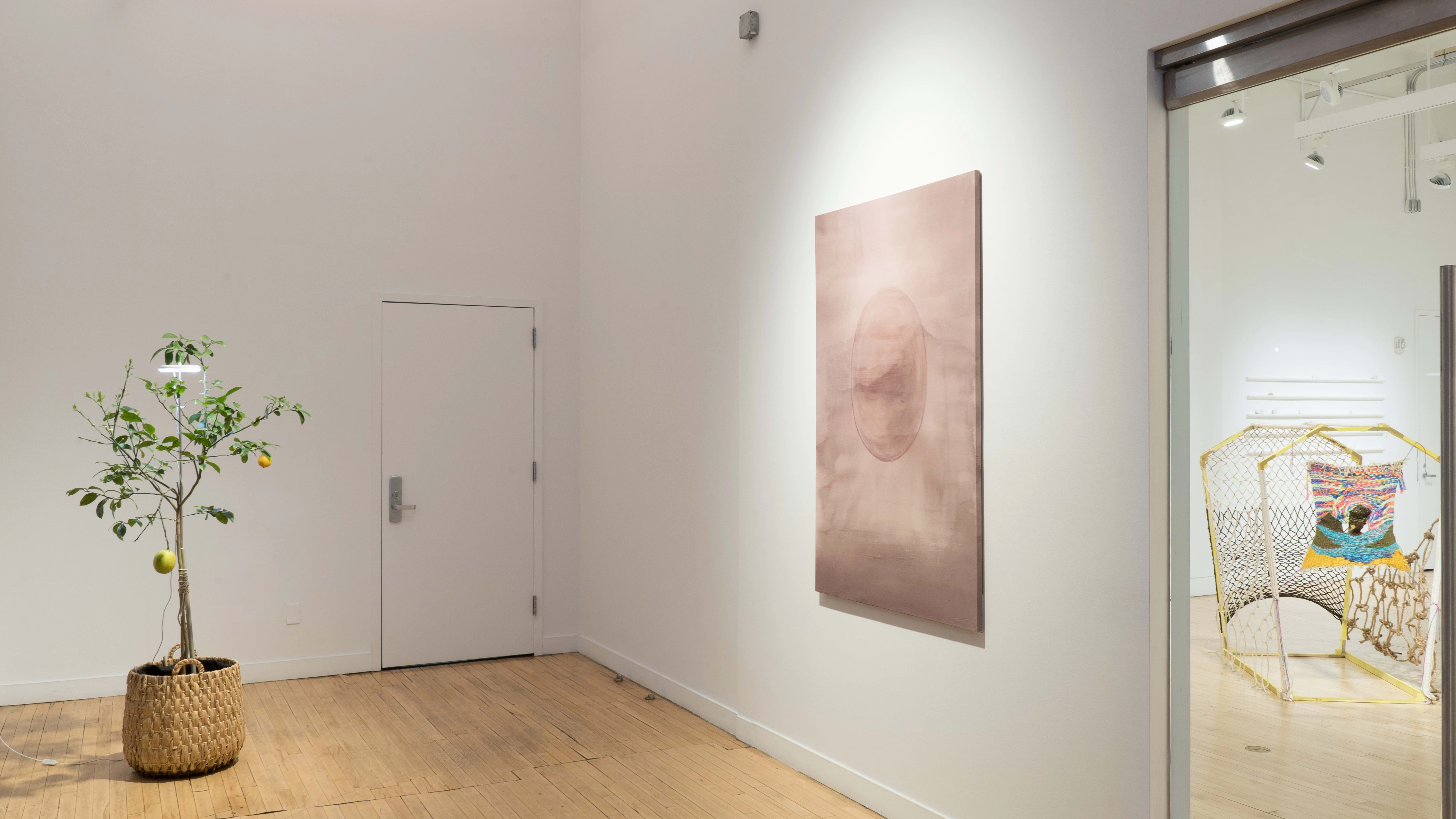 Alternate view of the alcove space at the Flatiron Gallery. The mauve painting hangs to the right, and a small lemon tree in a woven basket sits on the floor with a light bulb attached. On the far right we can see the wooden structure inside the gallery space, on the floor.