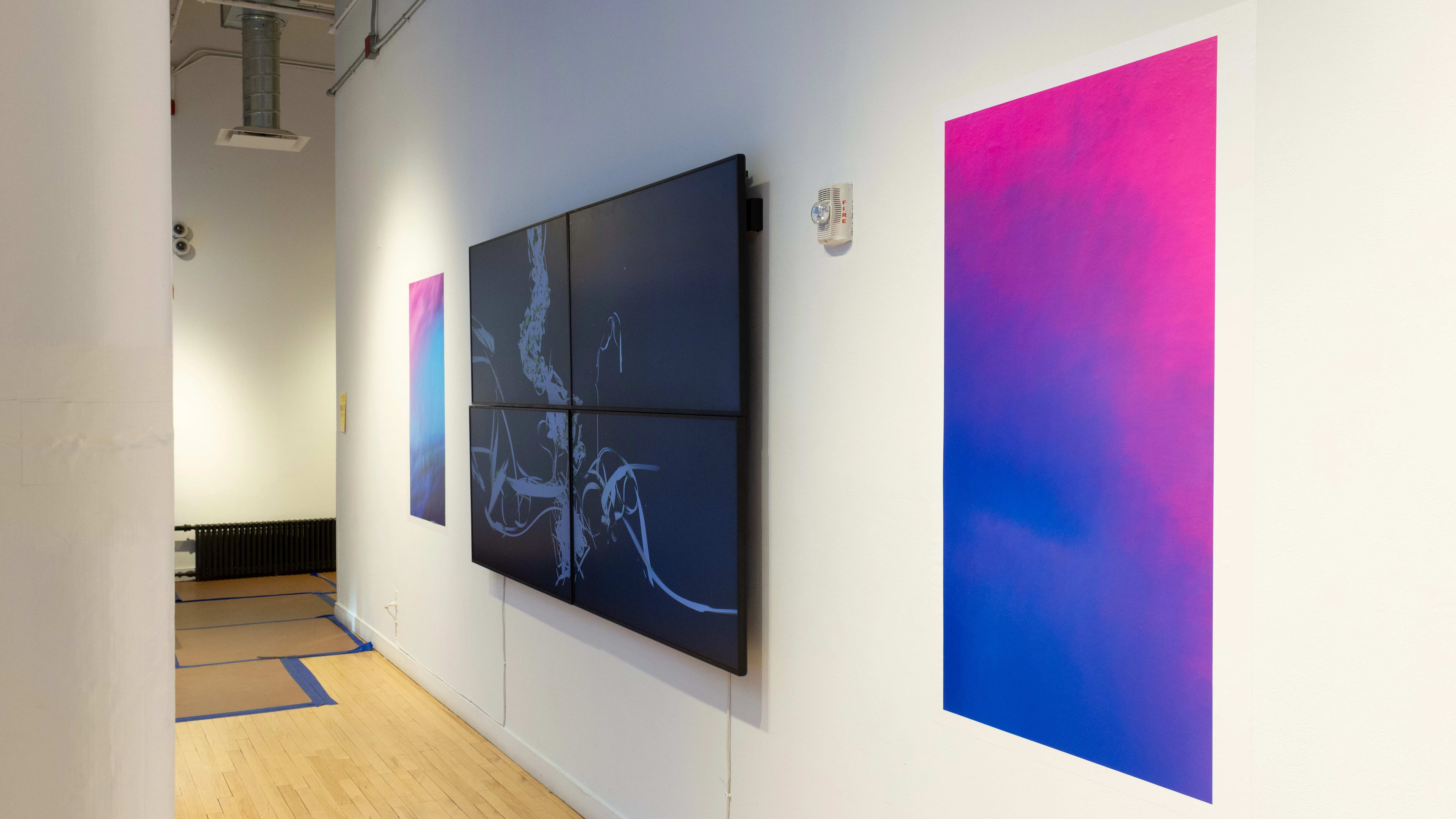 Four television monitors are grouped together to form one large screen displaying a black and white image of vegetation. On the wall on either side of the screen there are vibrant blue and pink gradient vinyl rectangles.