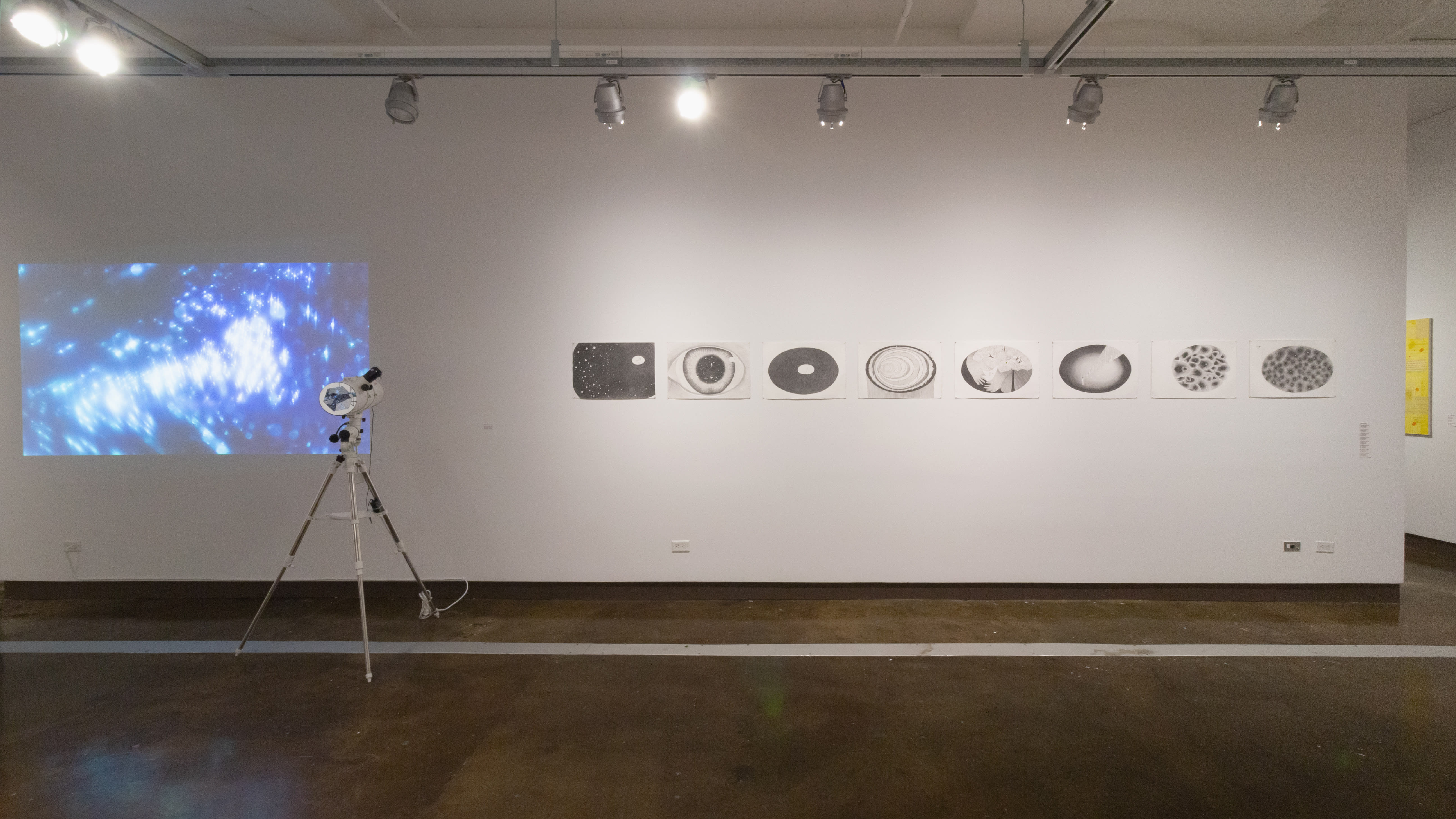 Multiple views of SVA Chelsea Gallery with sculpture, painting, installation and video.