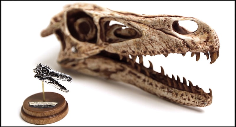An image of a velociraptor skull 3D scanned and printed into a miniature skull replica by<strong> </strong><strong></strong>Jason Bakutis<span class="redactor-invisible-space"><strong>.</strong></span>
