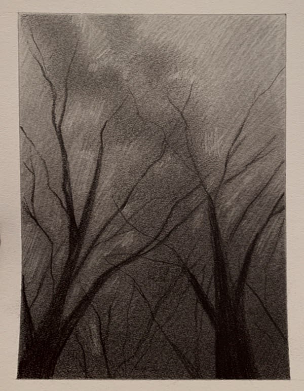 Black and white pencil drawing on tan toned paper. Of two leafless trees and a dark background