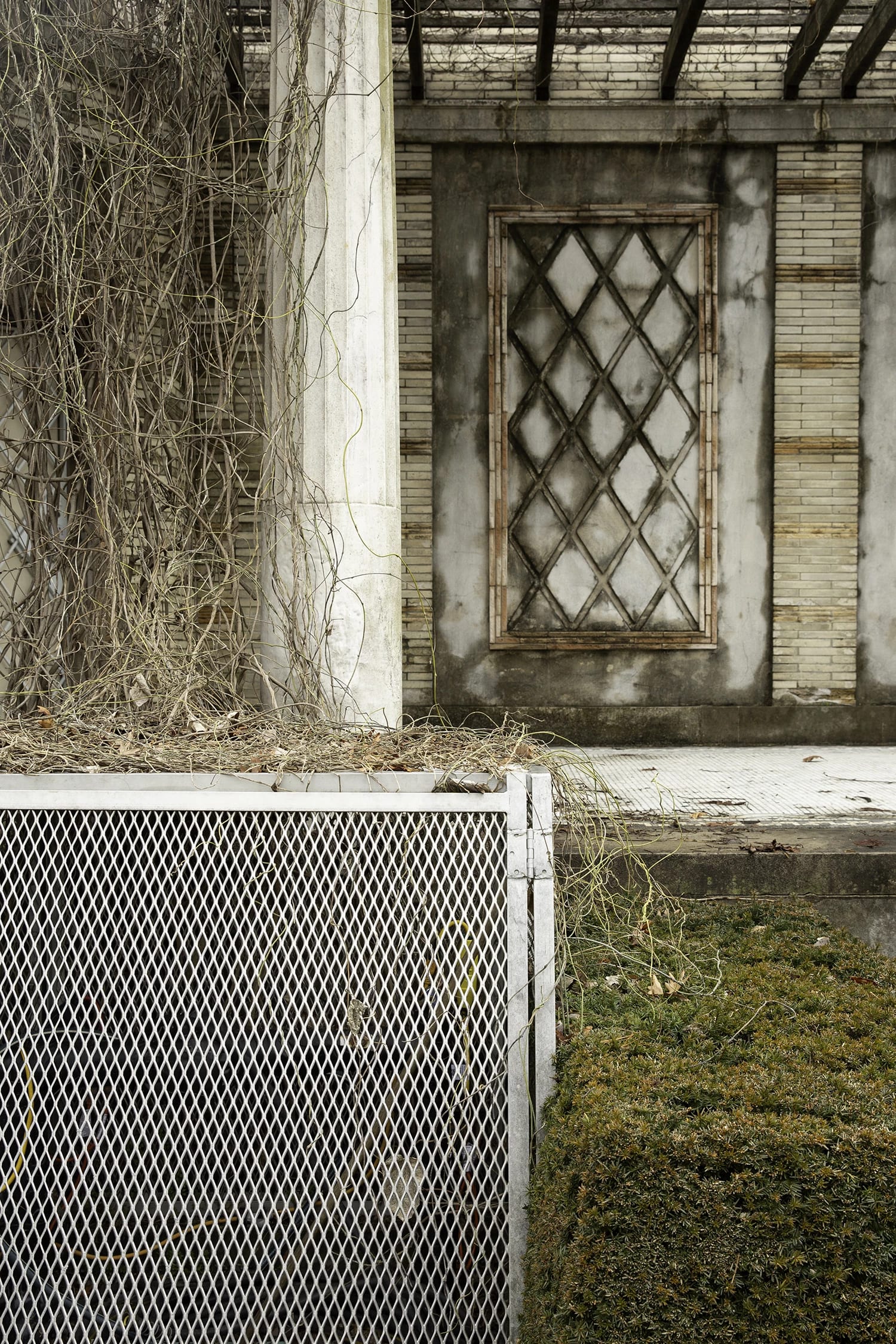 A composite image of dead vines, an abandoned house, a metal grate, and grass 
