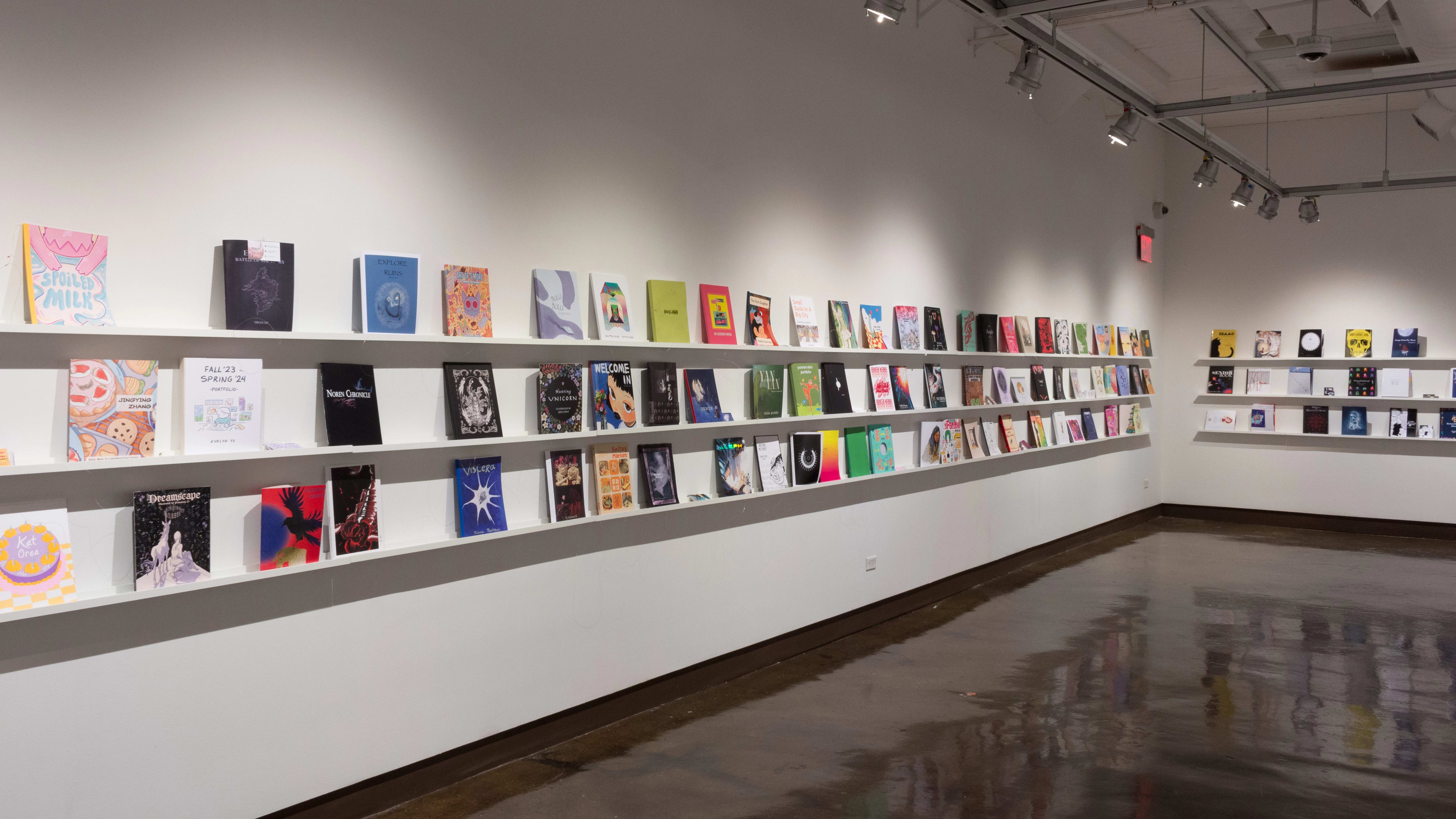 Books are displayed in three rows on long shelves that span the width of gallery four.
