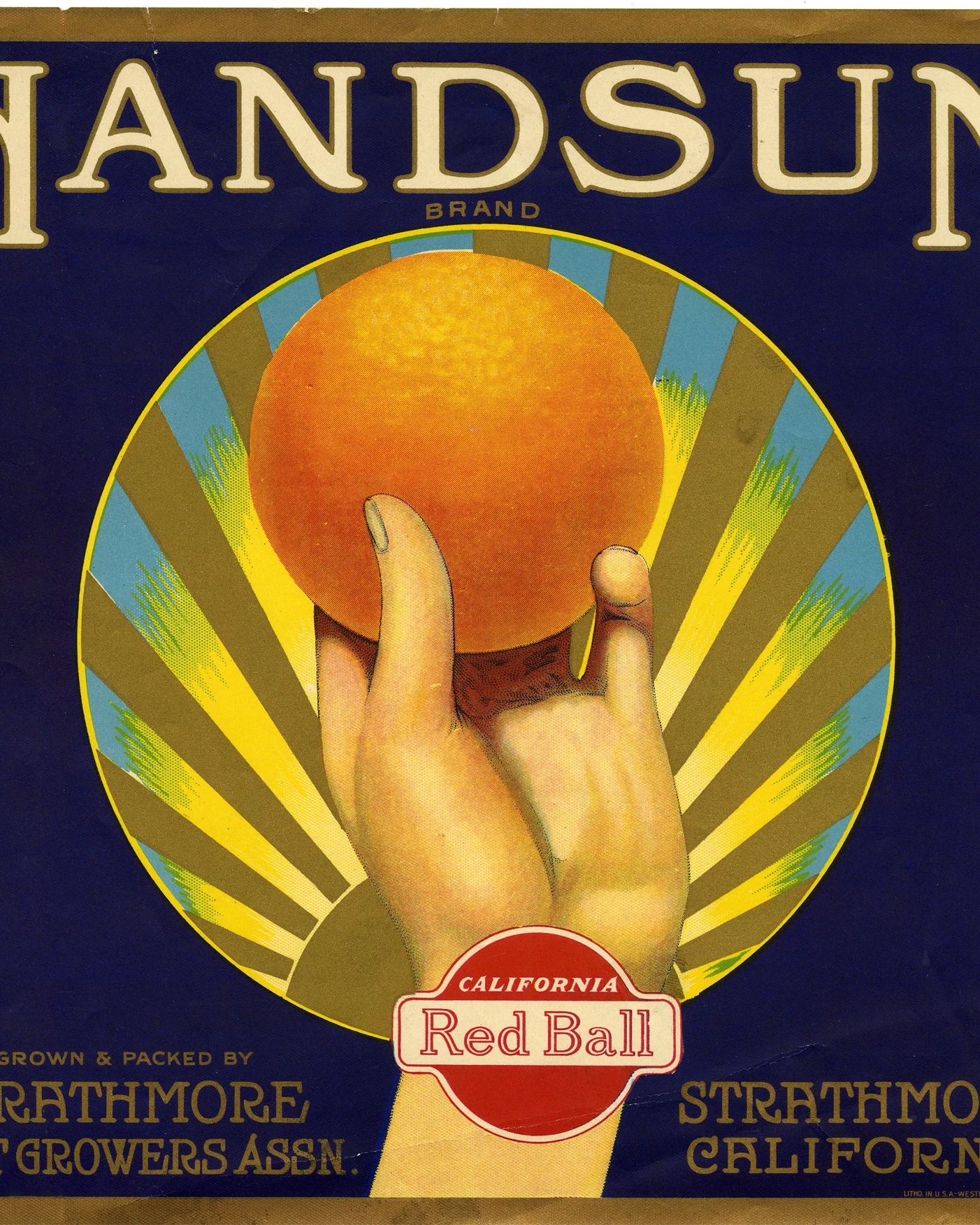 Illustrated label for an orange company. A hand holds an orange at the center of the page with a radiant circle halo around it. The rest of the background is dark blue with bronze letters that read "Handsum"