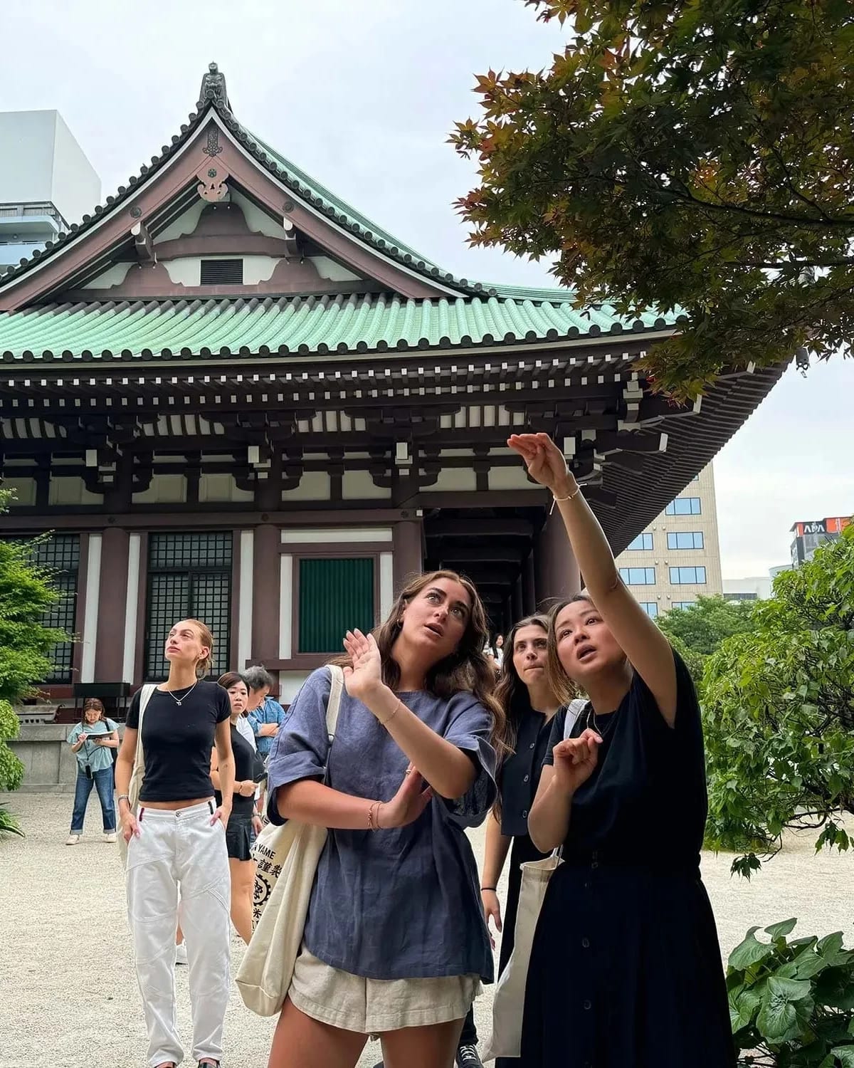 Students pointing up and looking in the sky with a traditional Japanese minka houses in the background among verdant trees and bushes.
