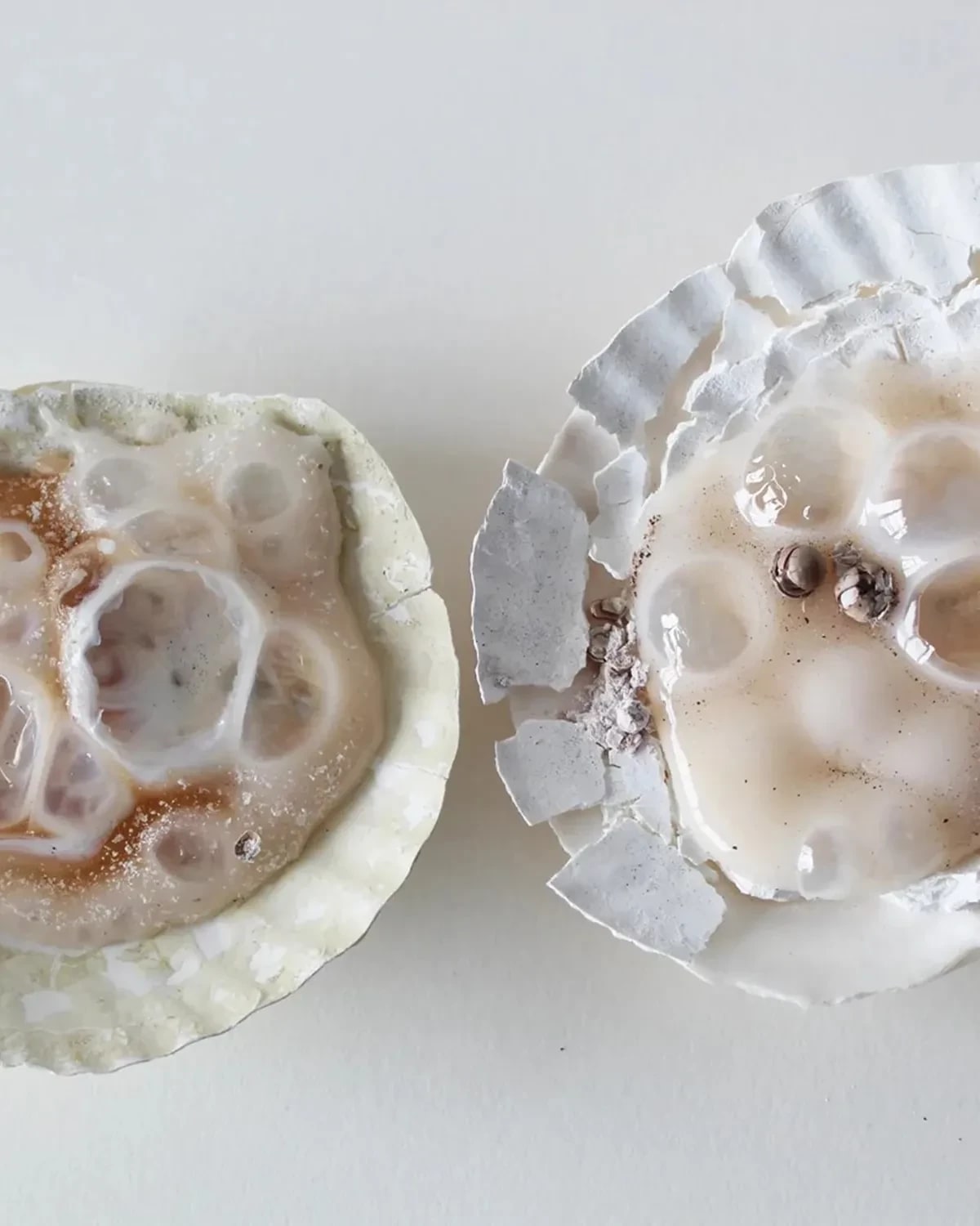 Two shells filled with glass and crushed pearls on a blank white background.